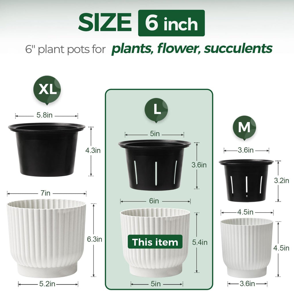 T4U Self Watering Pots for Indoor Plants, 6 Inch 6 Pack Planter White | African violet pothos ferns, Herb garden