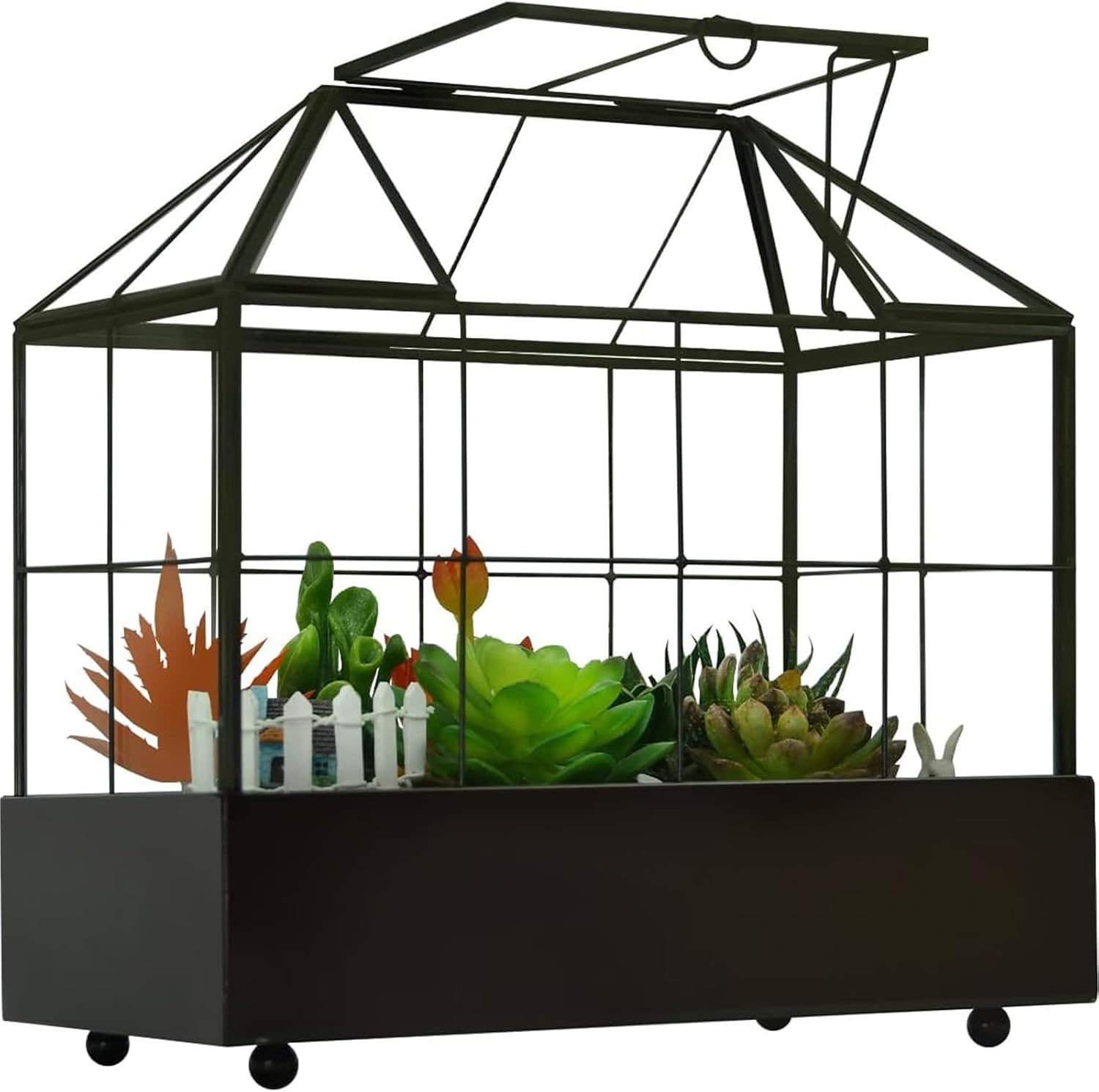 Large Tall Plant Terrarium Glass – Glass Greenhouse Terrarium with Lid and Tray,Indoor Tabletop Orchid Succulent Cacti