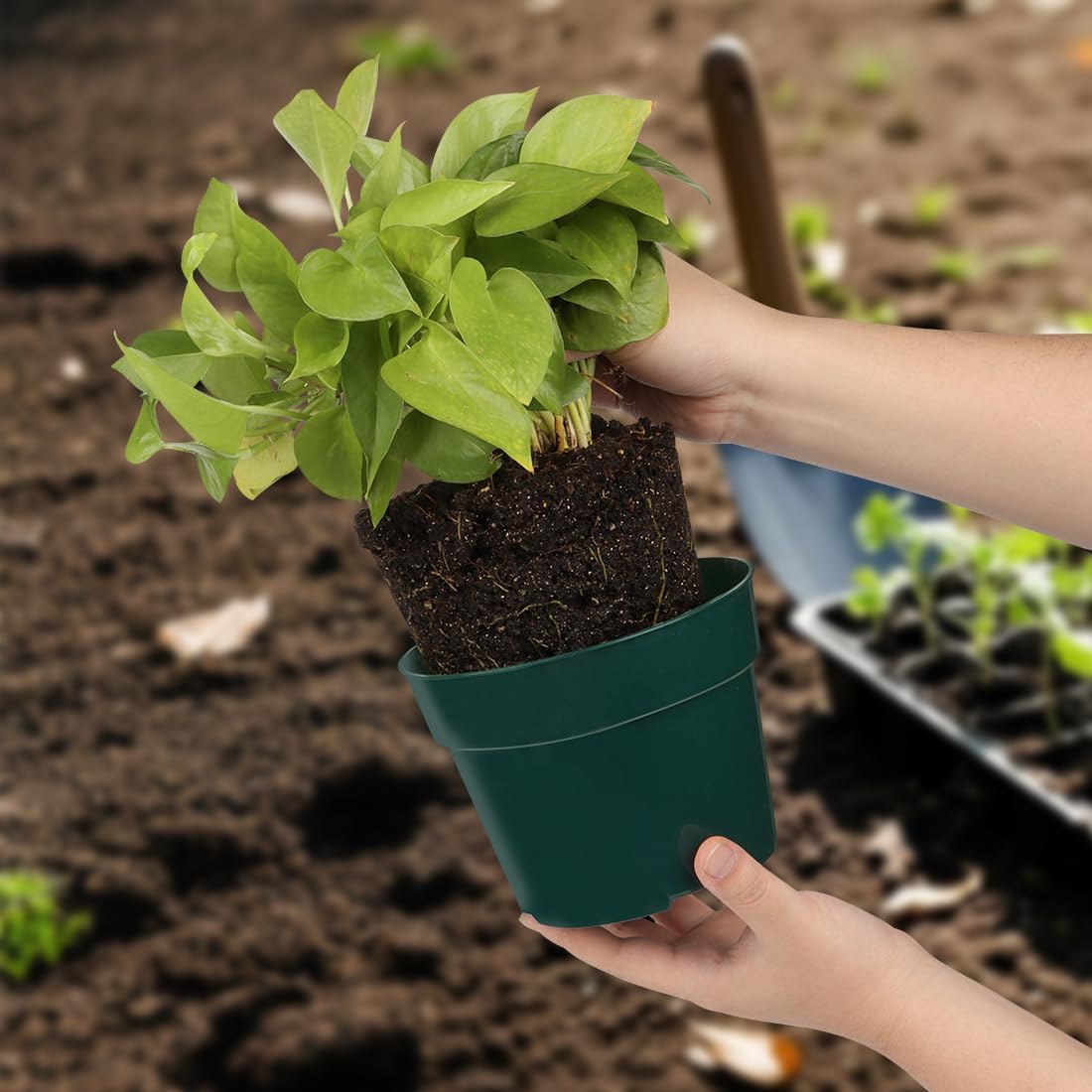 RooTrimmer 15 Pack 4/6/8 Inch Plant Nursery Pots, Sturdy Plant Pots with Drainage Holes, Ideal for Seedlings