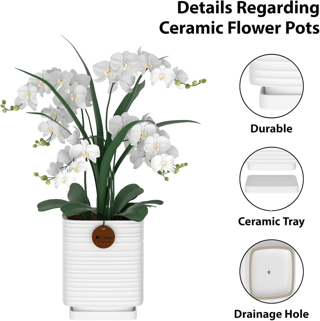 7.1 Inch White Ceramic Planter with Drainage and Saucer | 7.1 x 7.1 x 8.5 Inches | Ideal for Indoor and Outdoor Plants