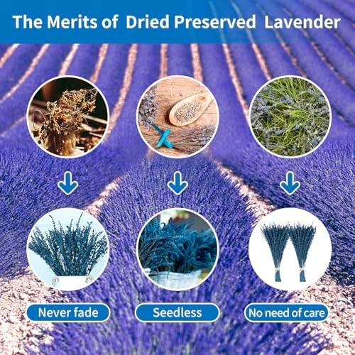 Glicrili Dried Lavender Flowers Real Stems Blue Bouquet for Vase Decor