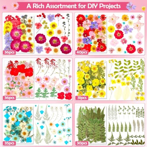 481 PCS Pressed Flowers for Crafts, Real Dried Pressed Flowers Nature Dry Flower Leaves Bulk for Resin Jewelry Making Scrapbooking Candle Soap Making Nails Frame Décor