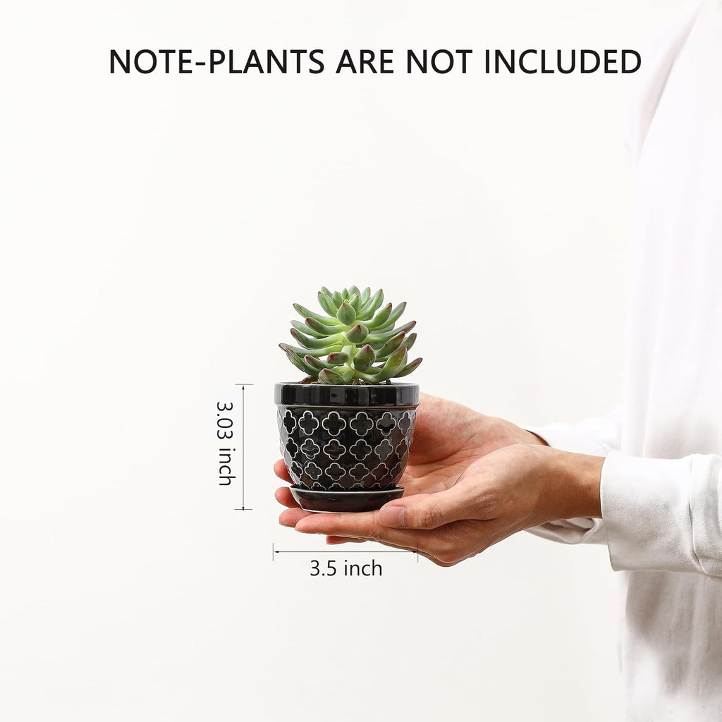 Sureasy Succulent Pots, 3.5 Inch Flower Pots for Indoor Plants, Small Plant Pots with Saucer & Drainage, Decorative