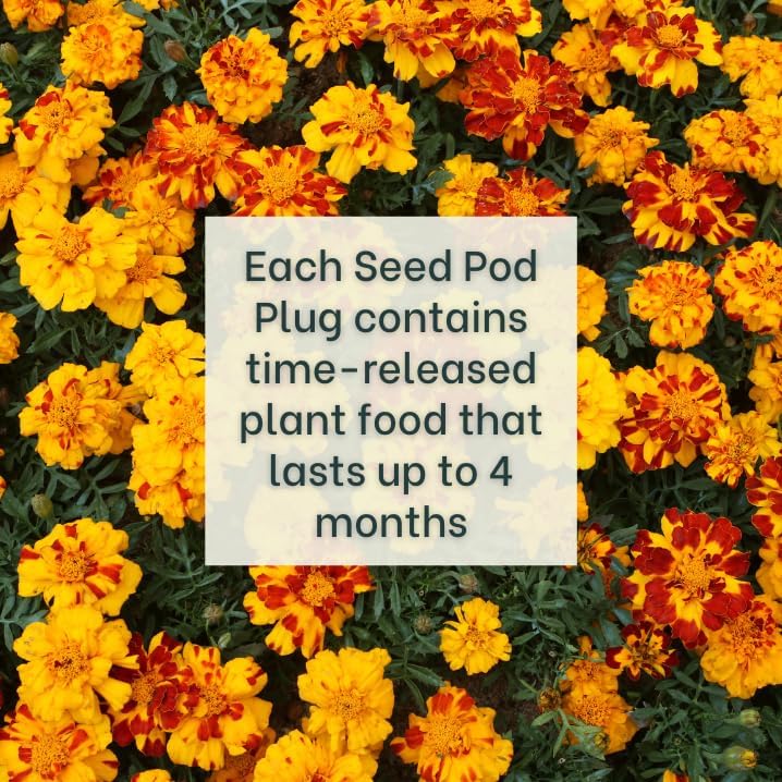 Gardeners' Choice Marigold Seed Pods with Plant Food, 10 Pods | Companion-planting flower; fits Click and Grow &