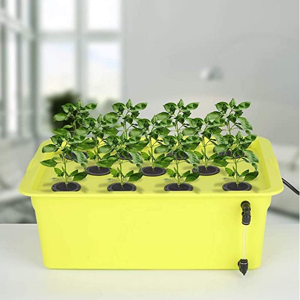 200 PCS Cloning Collars Inserts Premium Grade Foam Fits 2 Inch Net Pots | For Hydroponics Plant Germination in DIY