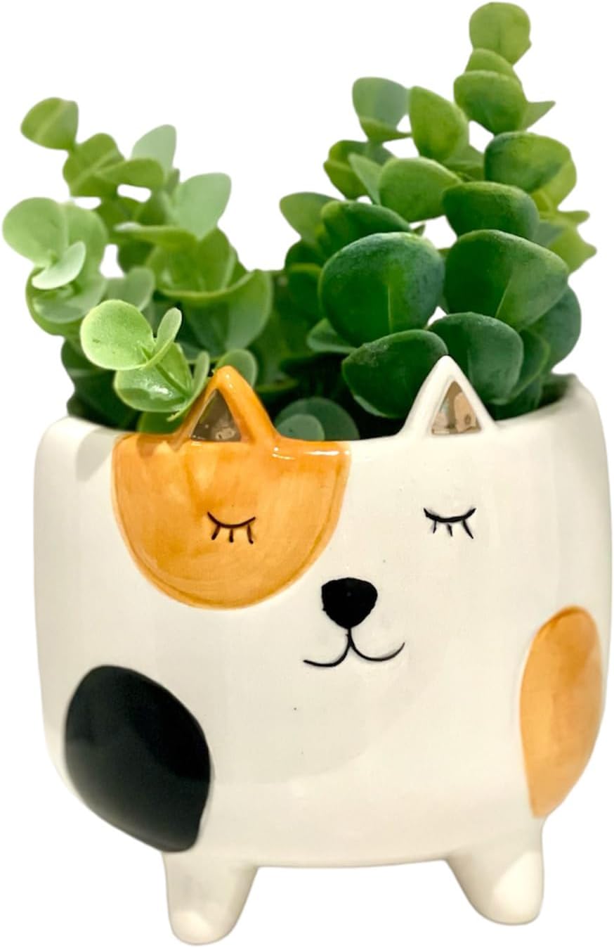 Cat Planter Pot | Indoor Planter for Plants | Cat Lover and Gardening Gift | Animal Succulent Planter | Gifts for Women