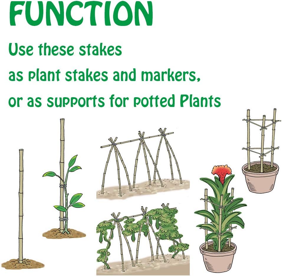 Natural Bamboo Stakes 6 Feet, Eco-Friendly Garden Stakes, Plant Stakes Supports Climbing for Tomatoes, Trees, Beans, 20