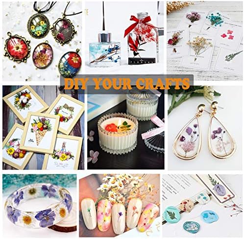 46Pcs Pressed Dried Flowers Real Natural Leave for DIY Resin Molds Candle Jewelry Nail Crafts