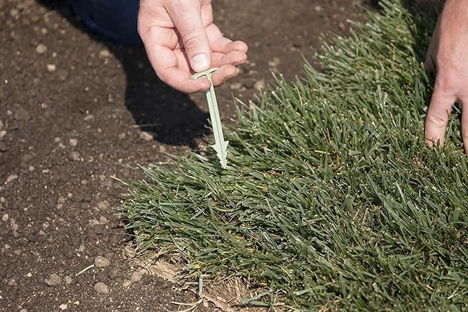 4-Inch Biodegradable Stakes, Pack of 500 - Superior Holding Power Stakes, Sod Staples for Weed Fabric, Eco-Friendly
