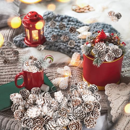 100 Pcs Snow Pine Cones, Mini Pinecones for Craft, Natural Cones Wreath, Christmas Bowl Stuff Winter Decorations Decor Accessories Party Suppliesfor Home Indoor Vase Filler