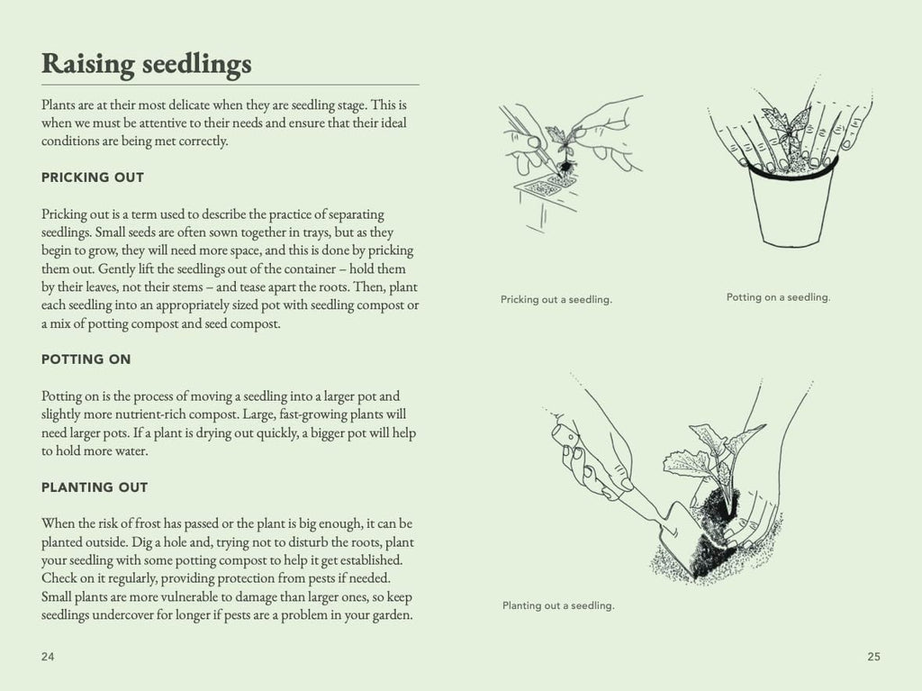 The Seed Collector's Kit: Collect - Sow - Grow - Harvest: Plant your garden from seed with 50 informative cards, five