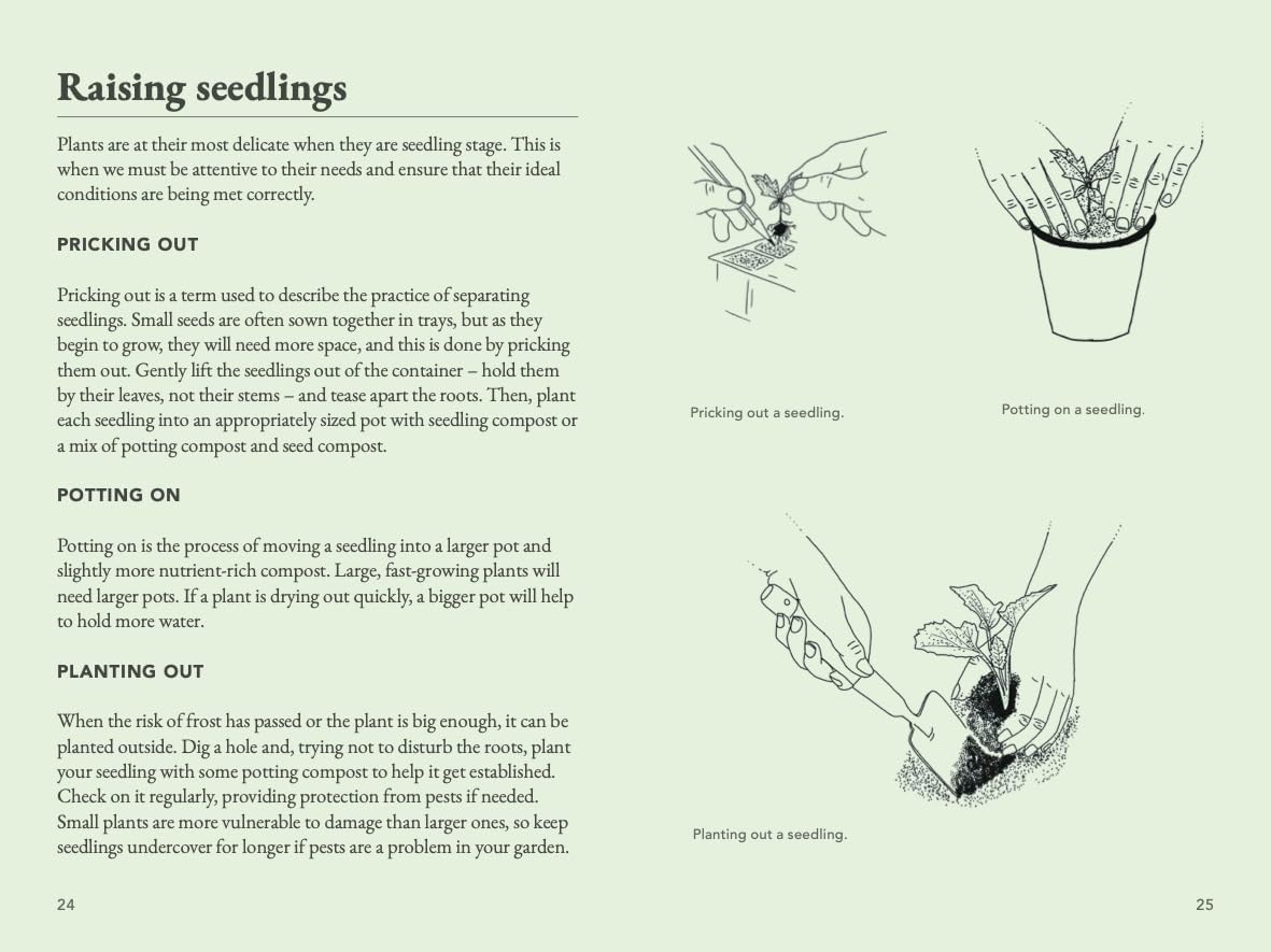 The Seed Collector's Kit: Collect - Sow - Grow - Harvest: Plant your garden from seed with 50 informative cards, five