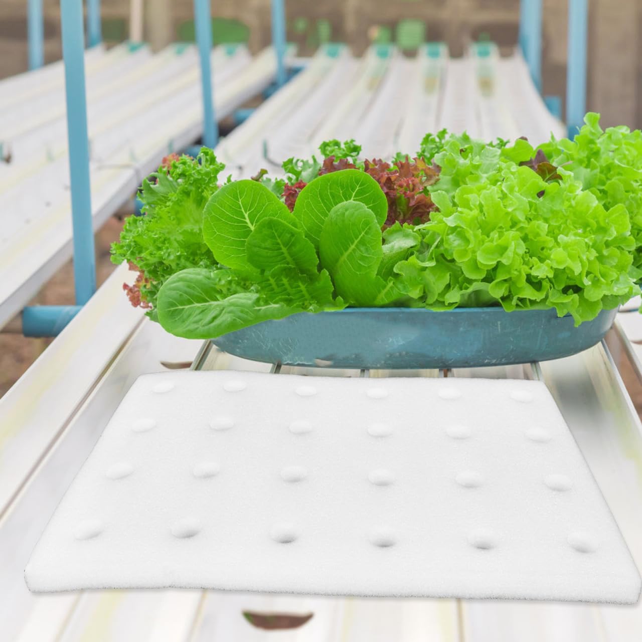 DOITOOL 24 Hydroponic Sponges Planting Tool Planting Tray with 24 Holes Floating Gardening Plate Soilless Cultivation