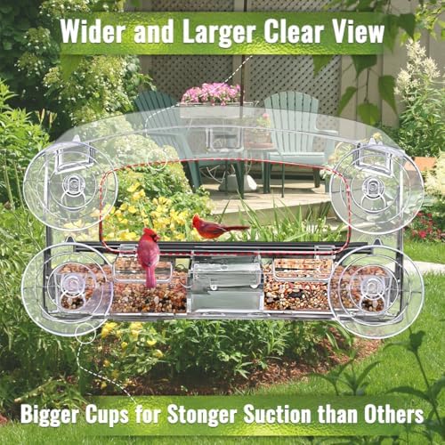 Window Bird Feeder with 4 Strong Suction Cup