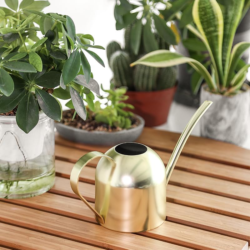Stainless Steel Water Can for Indoor Plants and Garden (Gold 30 oz) | Stainless steel, long spout, houseplants