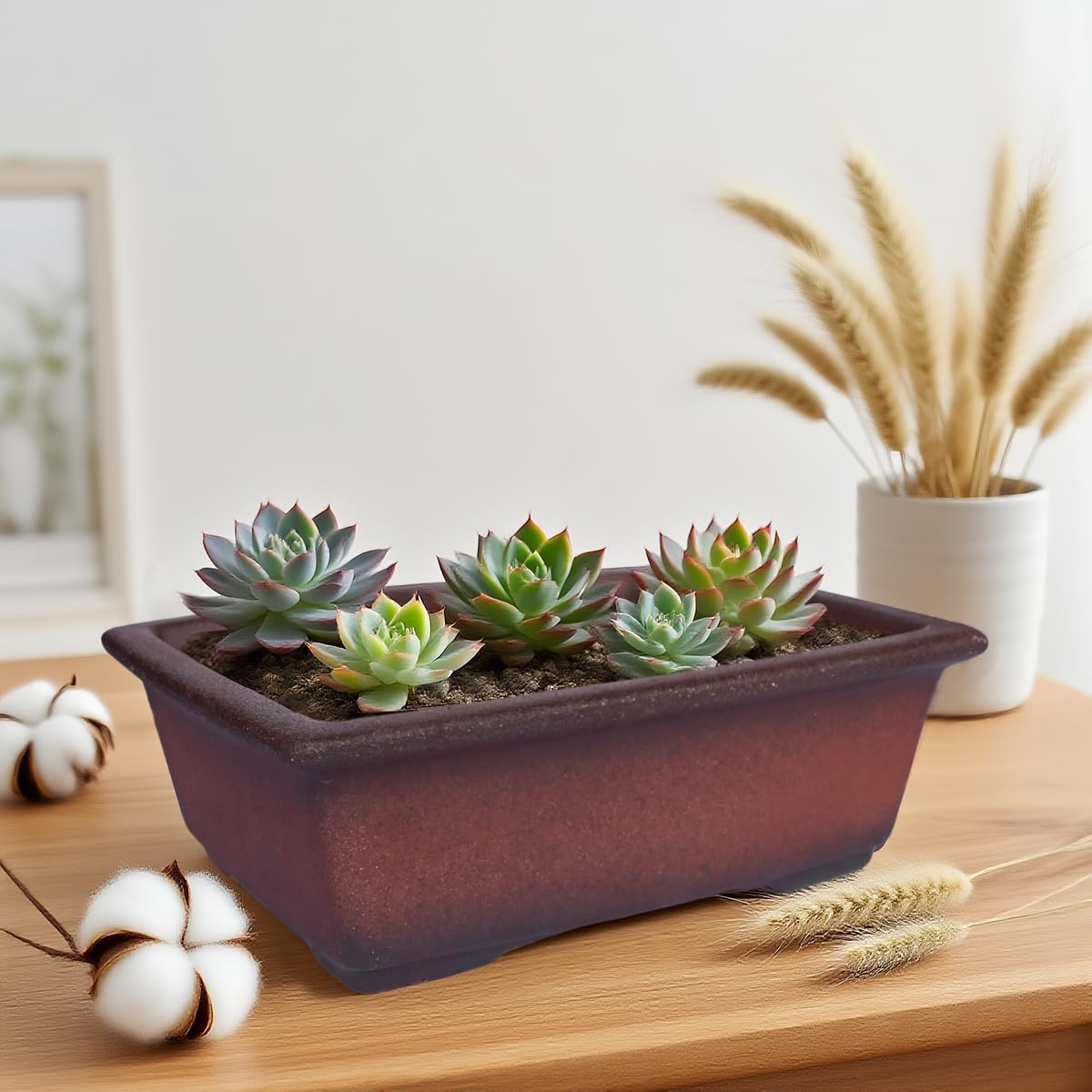 MUZHI Decorative Ceramic Bonsai Planter Pot 8.5 Inch with Tray, Breathable Unglazed Rectangle Terracotta Clay Pot for