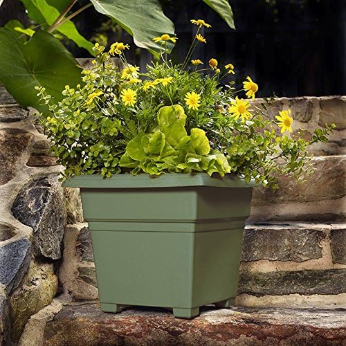 Root & Vessel Countryside Square Tub Planter, Sage, 18-Inch