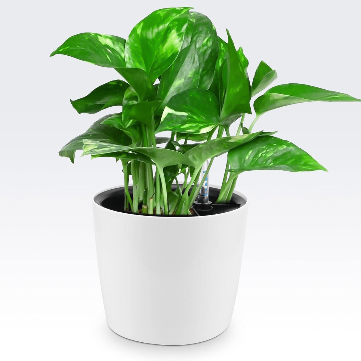 4 Pack 7 Inch Self Watering Planter for Indoor Plants, White Decorative Round Plastic Self Watering Pots with Level