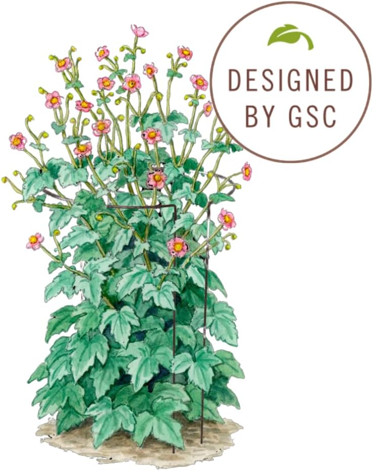 Gardener's Supply Company Jardin Half Round Plant Supports -18" x 35" | Sturdy Powder Coated Metal Outdoor Garden Plant