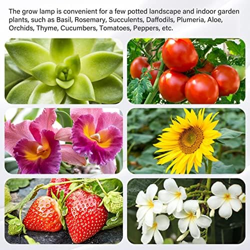 iPower LED Plant Grow Light Strips Full Spectrum with 3 Timing Modes, 10 Dimmable Levels 48 LEDs Per Tubes, Sunlike Grow Lamp for Hydroponics Succulent,Red & Blue