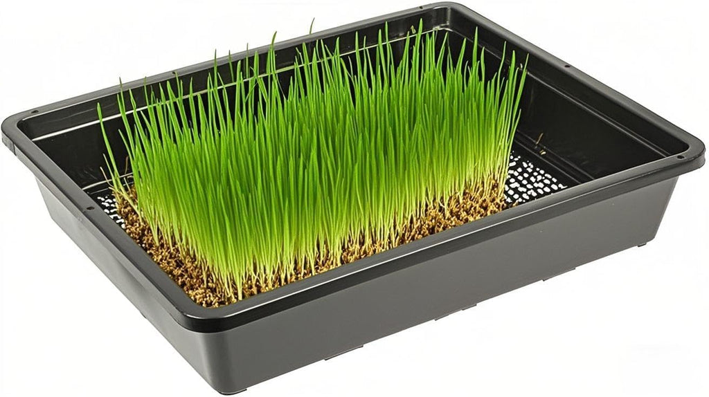 SINJEUN 15 Pack Mesh Bottom Seed Starter Trays, 15 x12 Inch Plastic Plant Tray Mesh Plant Germination Trays for