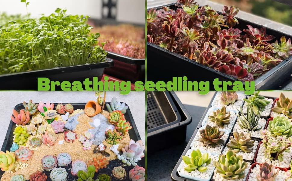 BeGrit Soil Blocking Trays 15x12 inch 5 Set/10 pcs Mesh Bottom Seed Starter Trays for Seedling, Microgreen, Soil