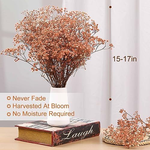 4500+ Pcs Babys Breath Dried Flower Bouquet, 17" Brown for Fall Vase Decor