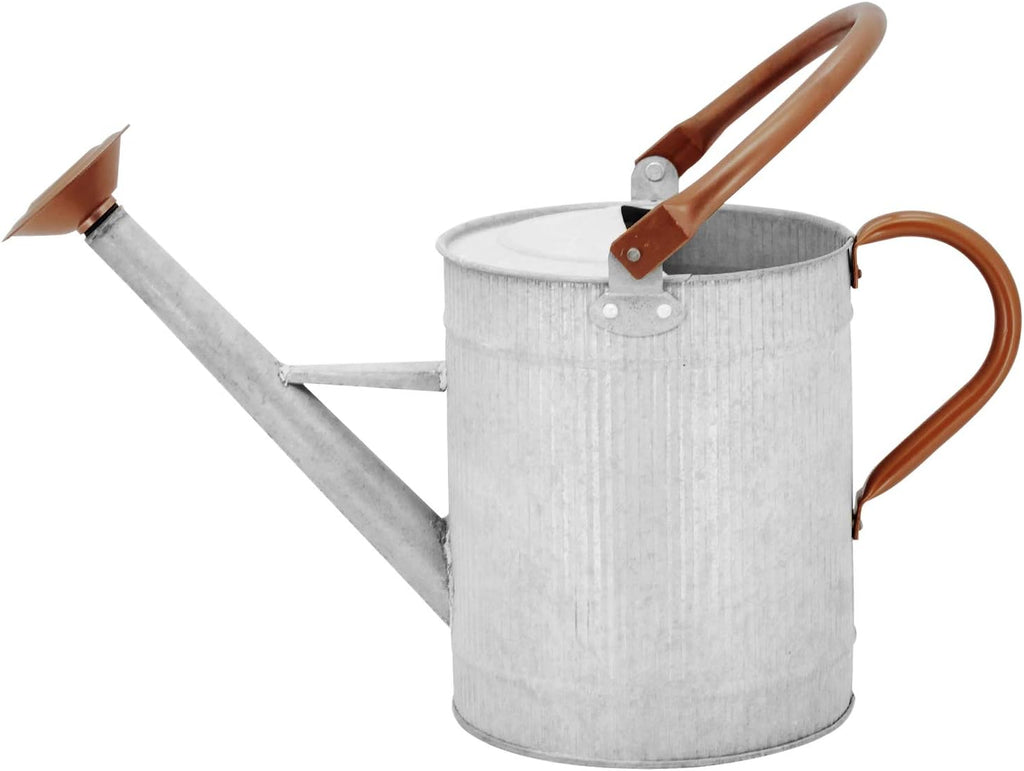 1 Gallon Watering Can, Metal Watering Can with Removable Spout, Farmhouse Galvanzied Water Can, Nice Plant Water Can