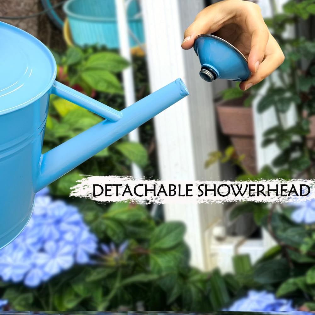 Metal Watering Can, 1 Gallon for Outdoor Garden Plants, Blue | Watering Cans Stainless Steel Handhold with Removable