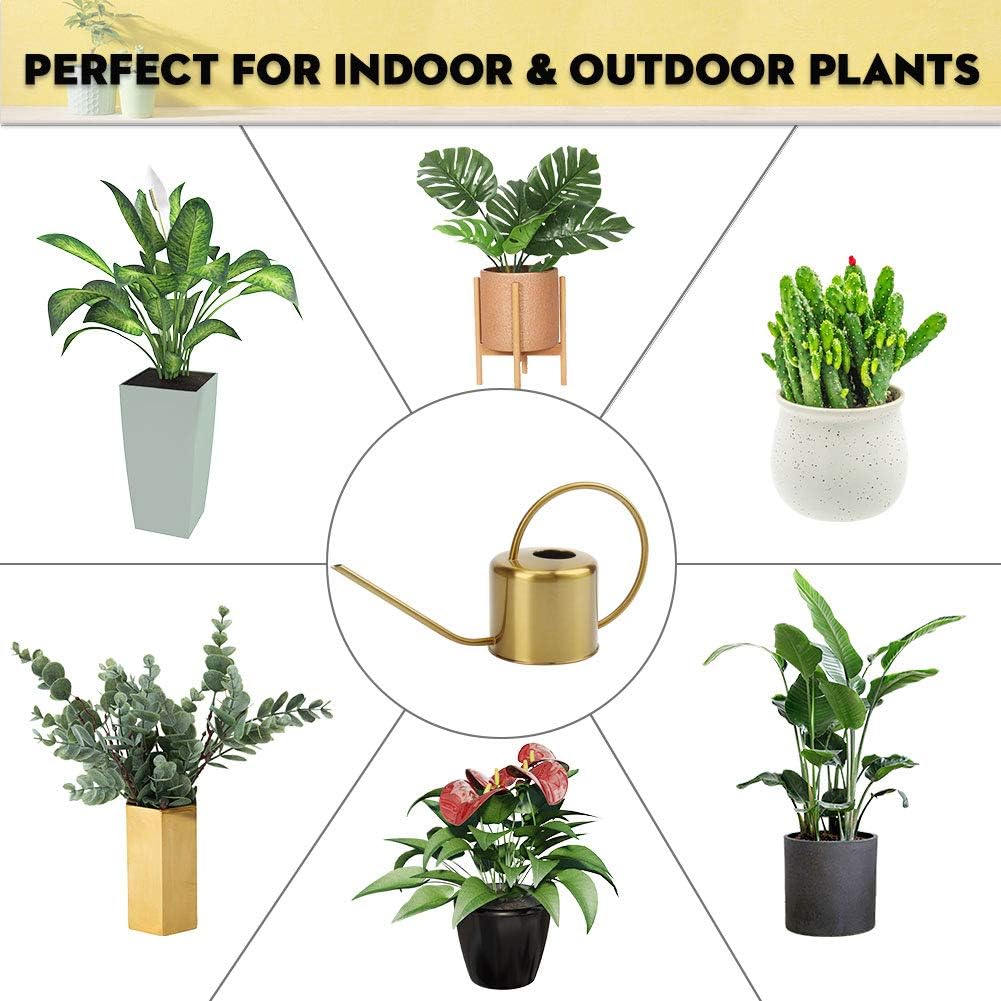 Remiawy Watering Can Indoor Outdoor Stainless Steel Watering Cans for House Plants Long Spout Water Can for Succulent