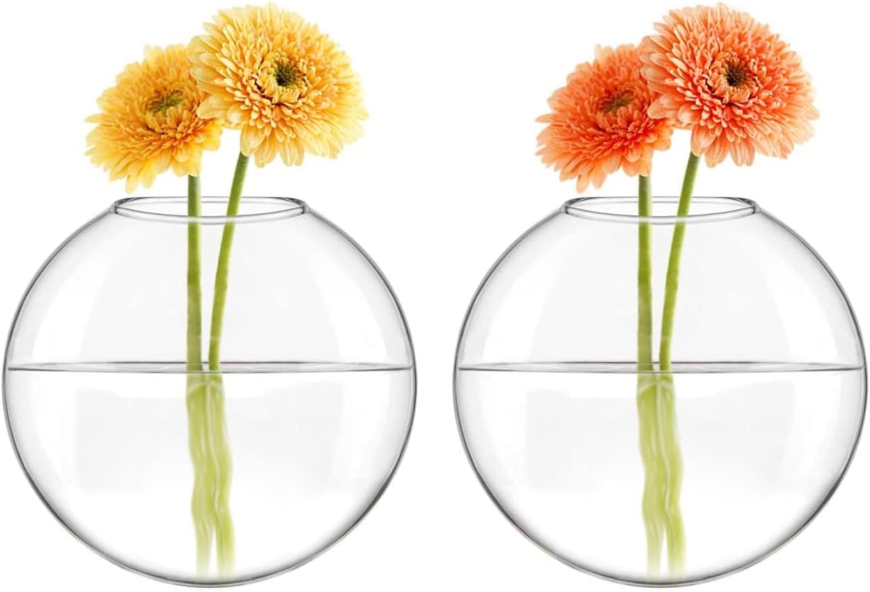 Mkono Wall Propagation Planters, 3 Pack Oblate Hanging Plant Holder Vase | Glass Terrariums Station, Hydroponic Indoor