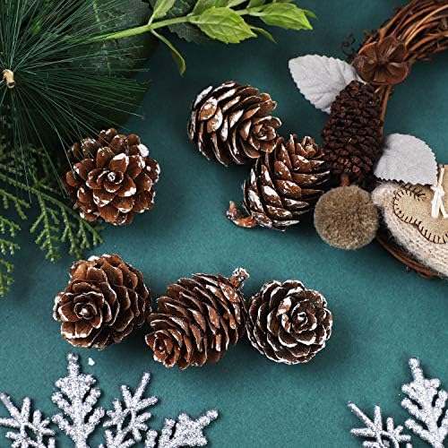 Cooraby 85 Pieces Micro-mini Snow Pine Cones Christmas Snow Pine Cones Ornaments for Home Decoration, Fall and Christmas Crafts