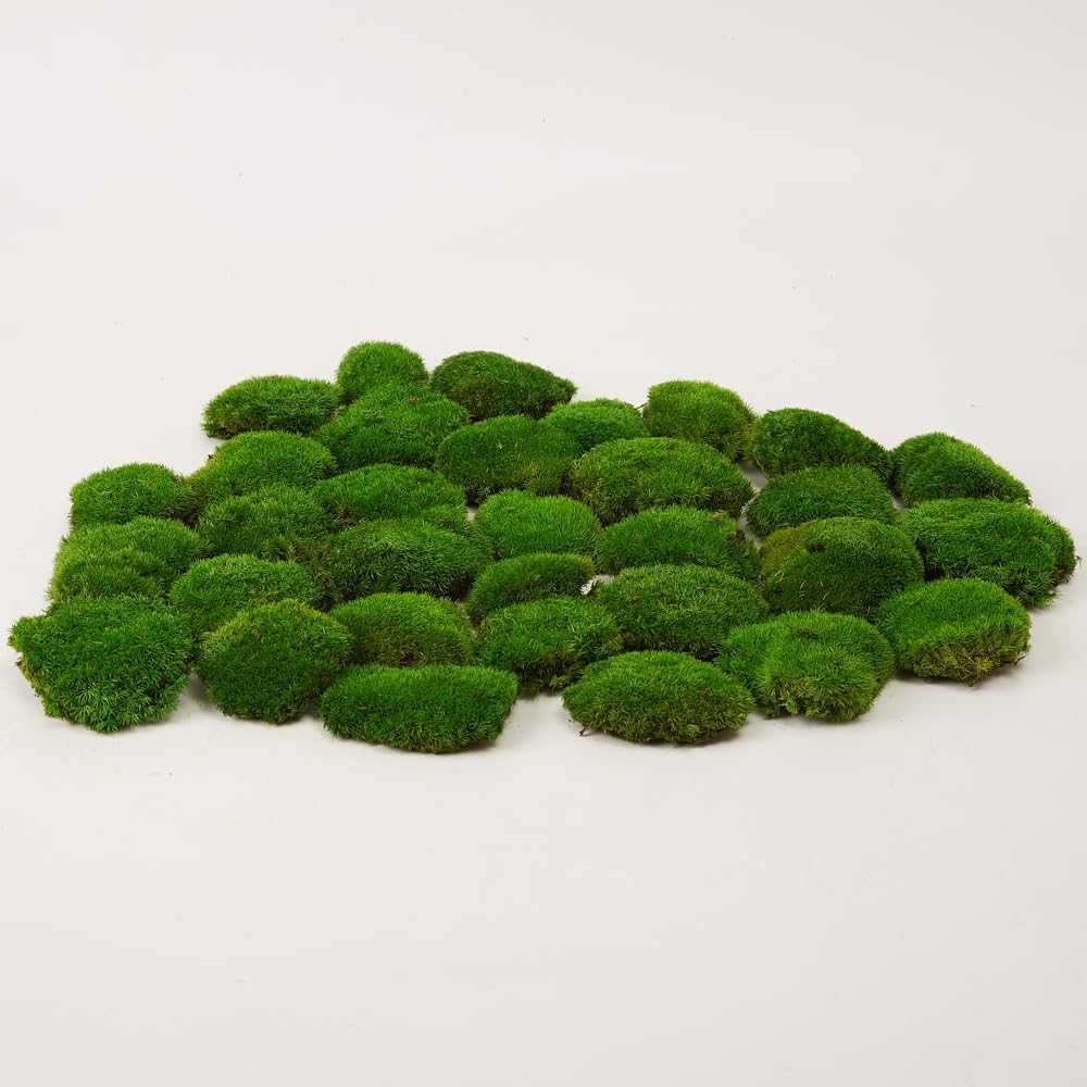 Preserved Pole Moss Pillow Bun Cushion Natural Green Decorative Real Natural Green DIY Kit Terrariums Gardenning Art