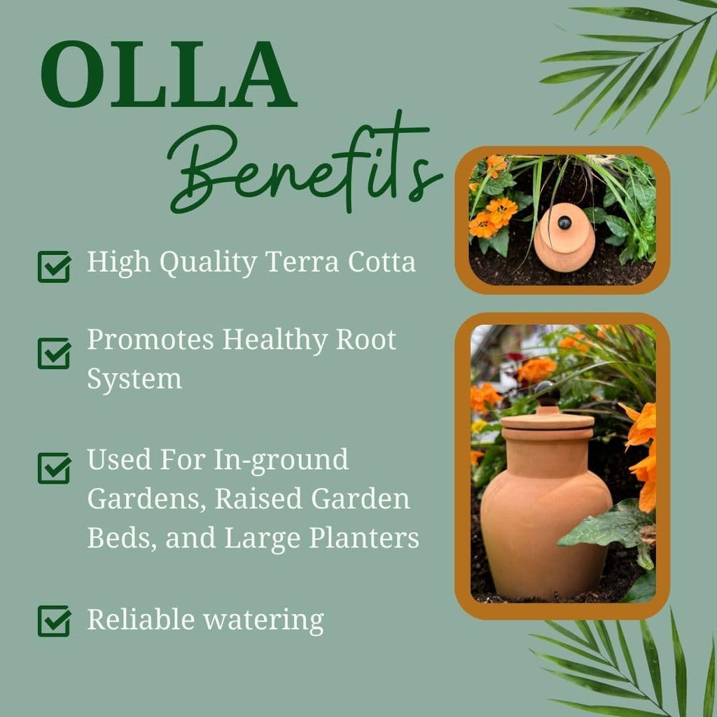 Plant Nanny Olla (1 Liter Single)