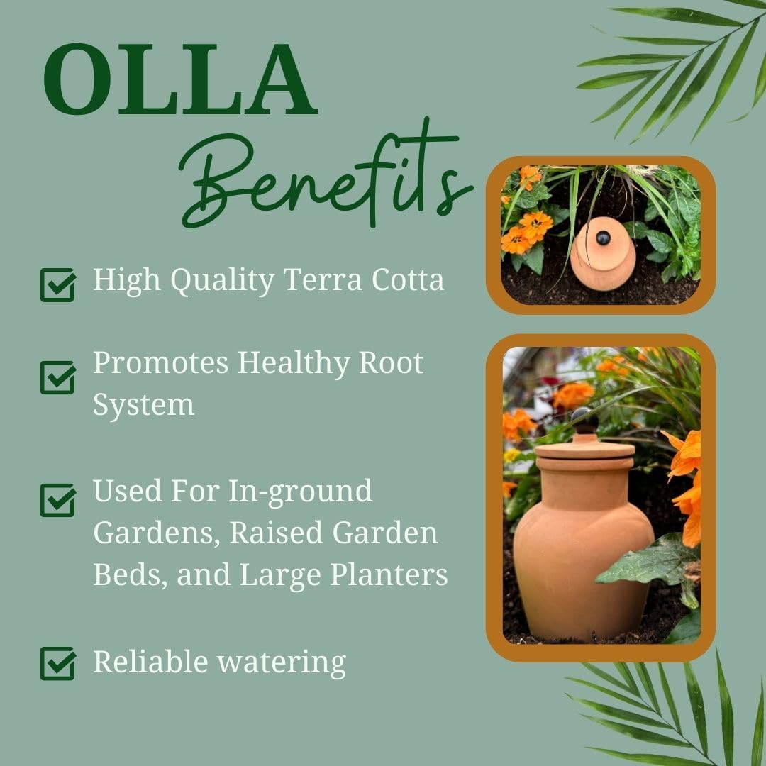 Plant Nanny Olla (1 Liter Single)