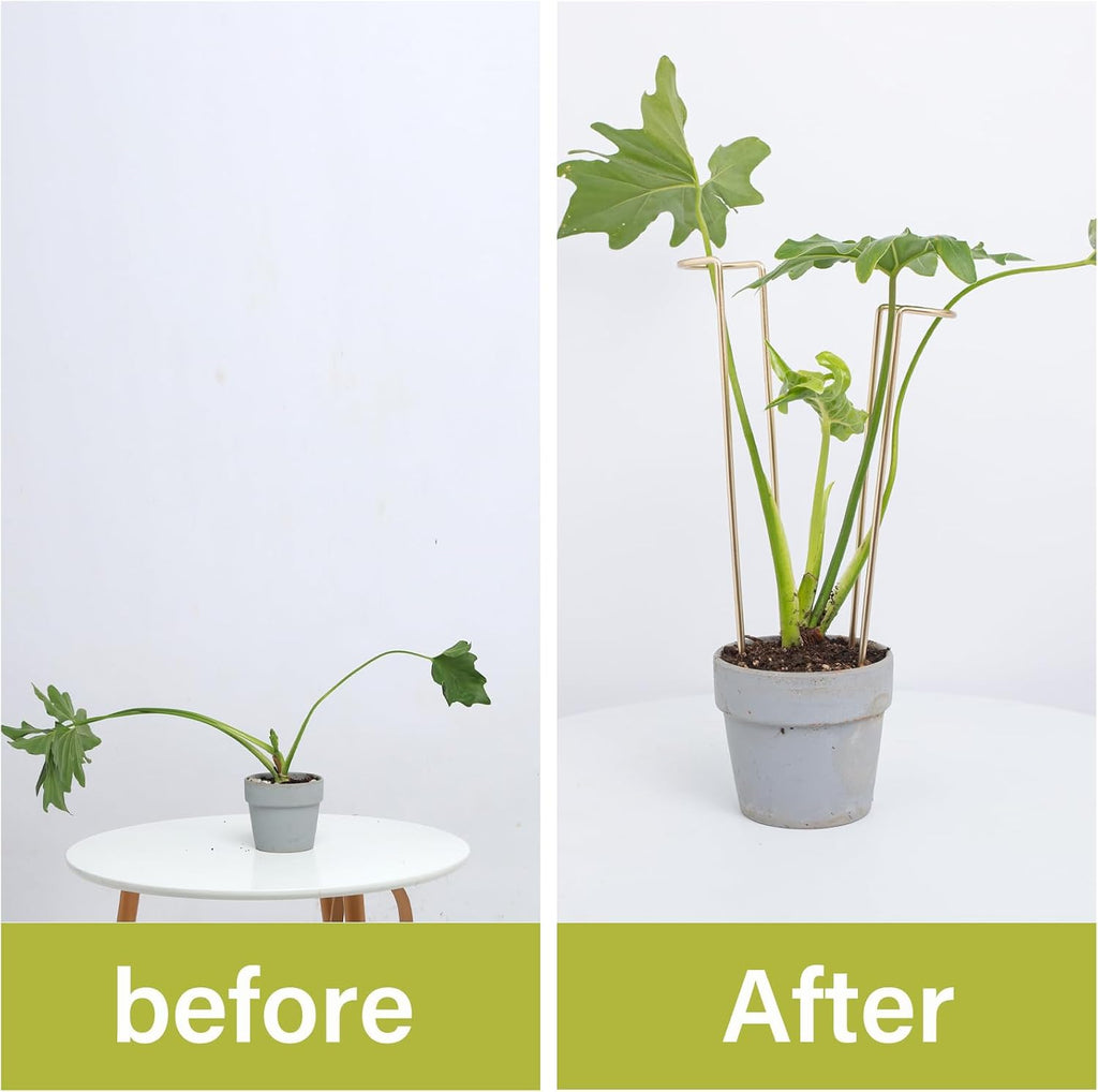 12" Monstera Support - 10 Pcs Plant Support for Indoor Plants | Indoor Plant Trellis & Stakes, Monstera Support Ring