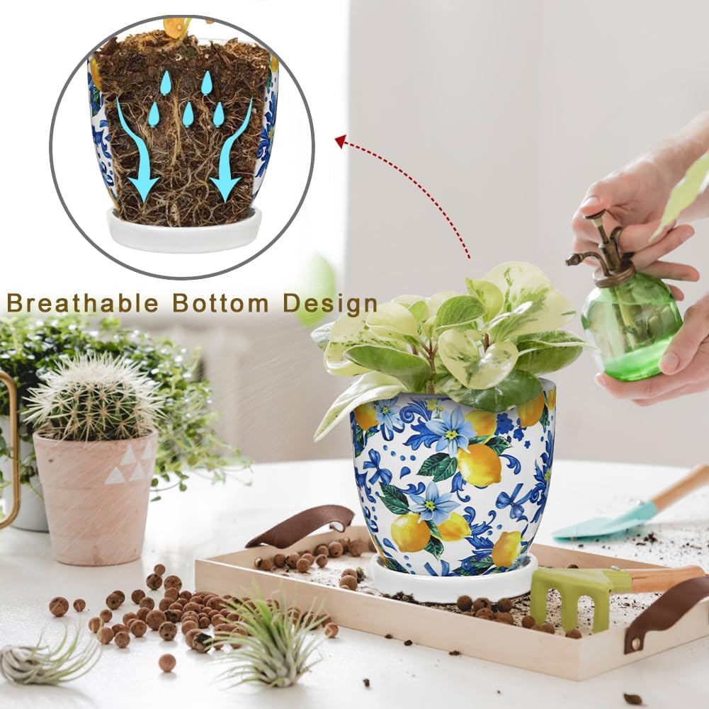 5.3+4.3 inch Ceramic Plant Pots, Set of 2 Blue and White Plant Pot with Drainage Holes and Saucers Small Lemon Indoor
