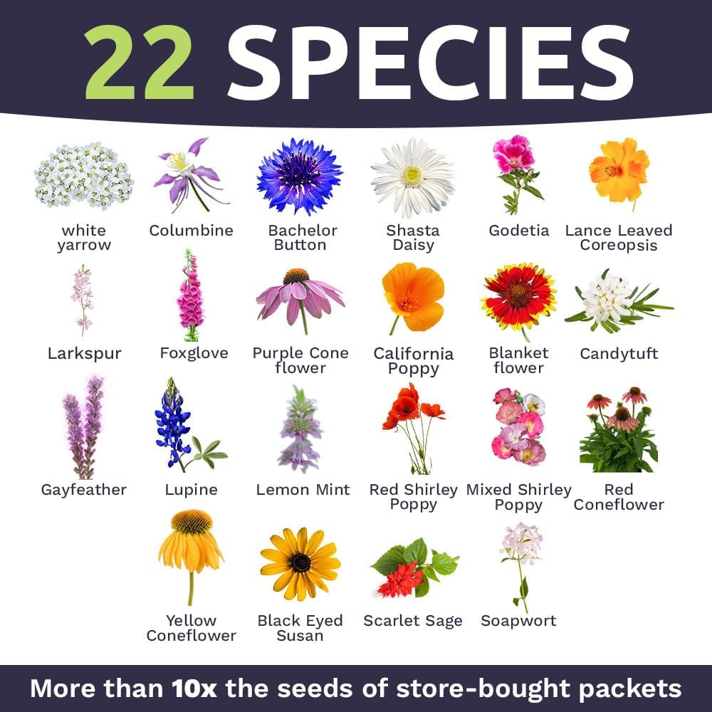 Deer Resistant Wildflower Seed Mixture - Bulk 1/4 Pound Bag - Over 60,000 Deer Tolerant Seeds - Open Pollinated and Non