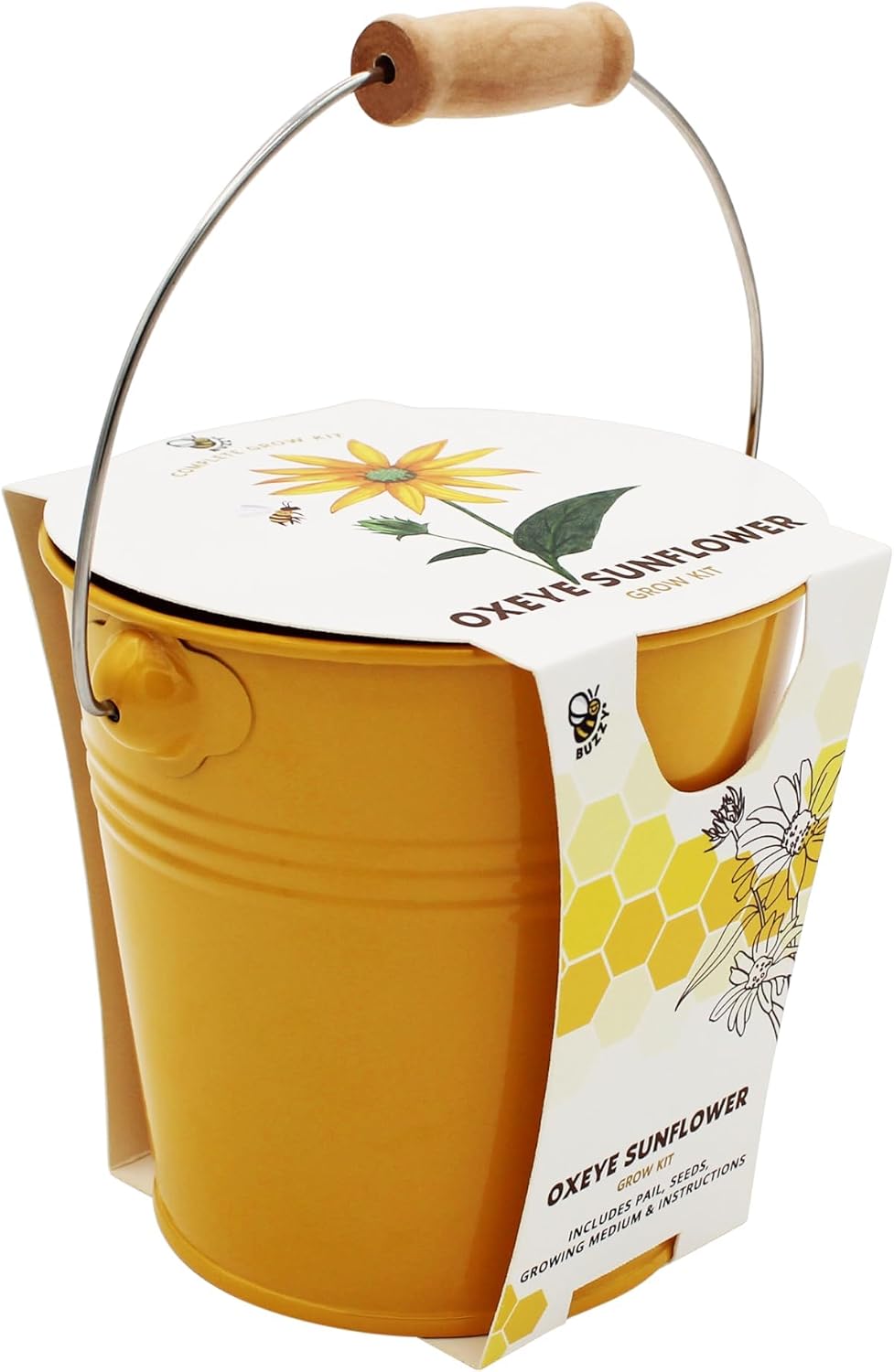 BUZZY Seeds Pollinator 2-Pack Grow Kit with Aster and Ox-Eye Sunflower Seeds, Growing Medium, and Decorative Yellow