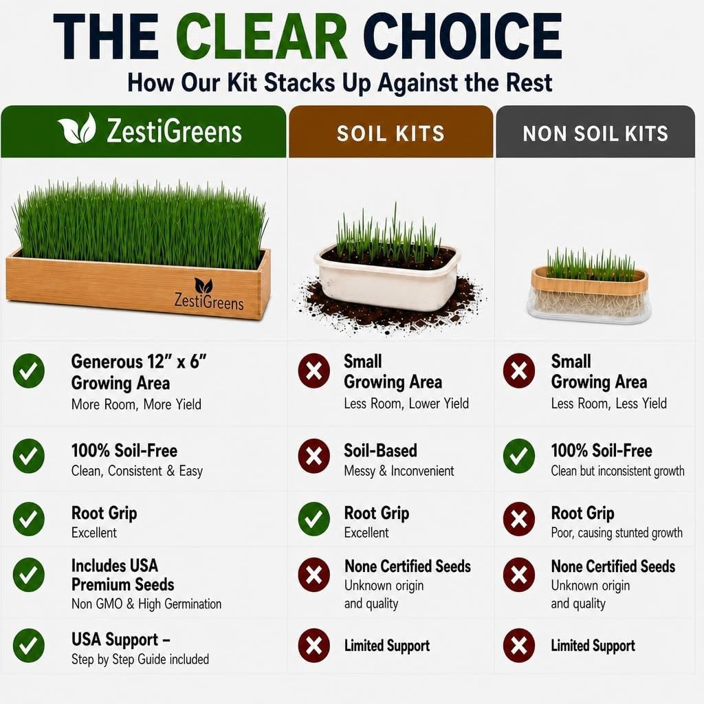 Cat Grass for Indoor Cats - Self-Watering Cat Grass Planter Kit | Reusable no-soil self-watering planter grows fresh