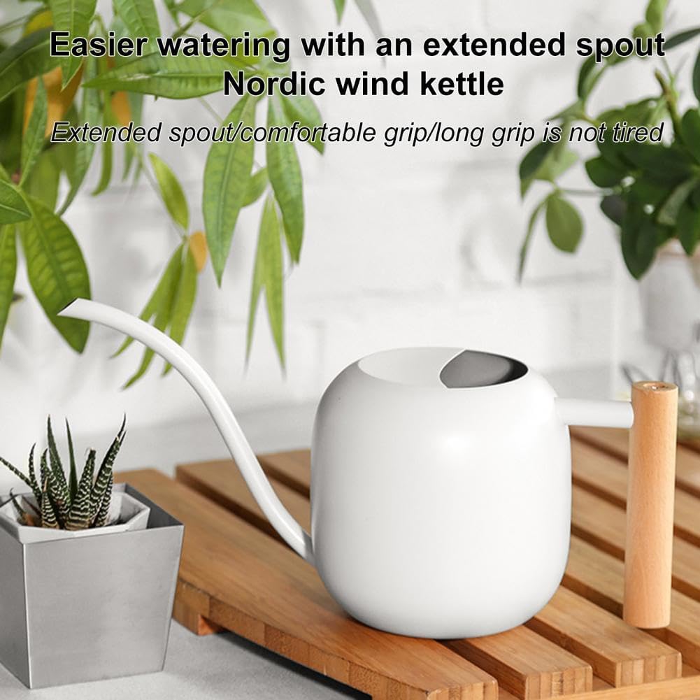 Small Watering Can Indoor Plants, 40oz/1.2L Garden Watering Can, House Plant Watering Can Cute Watering Pot with Long