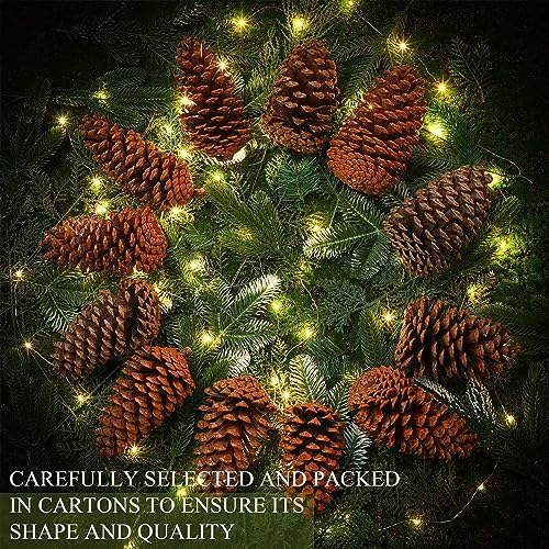 Huwena 6 Pcs 6-7 Inches Pinecones Large Natural Unscented Pine Cones Bulk