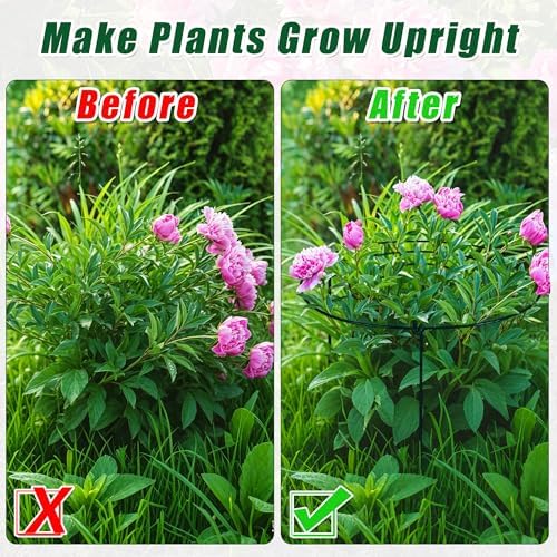 Peony Cages and Supports, 30"H x 13.8"D Plant Supports for Outdoor Plants