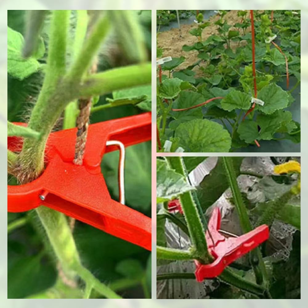 Plant Support Clips Reusable Garden Clips, Secured Plastic Plant Clips for Climbing Plants Outdoor, Plant Fixing Clips