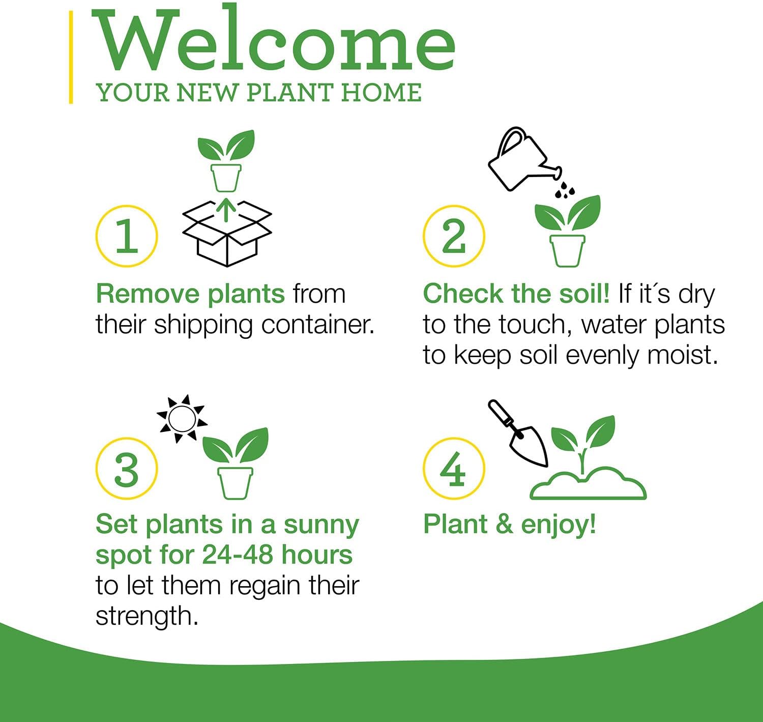 Bonnie Plants Green Bell Pepper Live Vegetable Plants - 4 Pack, Non-GMO, 2 - 3 Ft Plants, 4.5 x 4 Inch Pepper Size