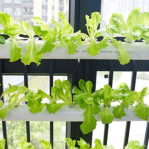 PVC Hydroponics Growing System 54 Plant Sites 6 Pipes Hydroponic Grow Kit Garden System Vegetable Tool with Pump