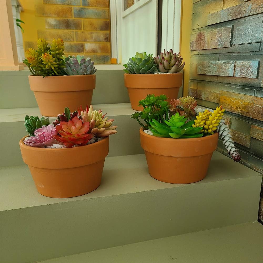 Yishang 6 Inch Terracotta Shallow Planters,Ceramic Flower Clay Plant Pots with Drainage Hole,Unglazed Cactus/succlent