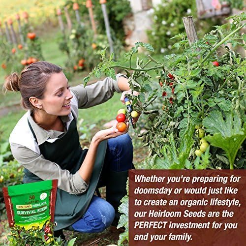 Heirloom Vegetable Seeds Non GMO Survival Seed Kit - Part of Our Legacy and Heritage - 50 Varieties 100% Naturally