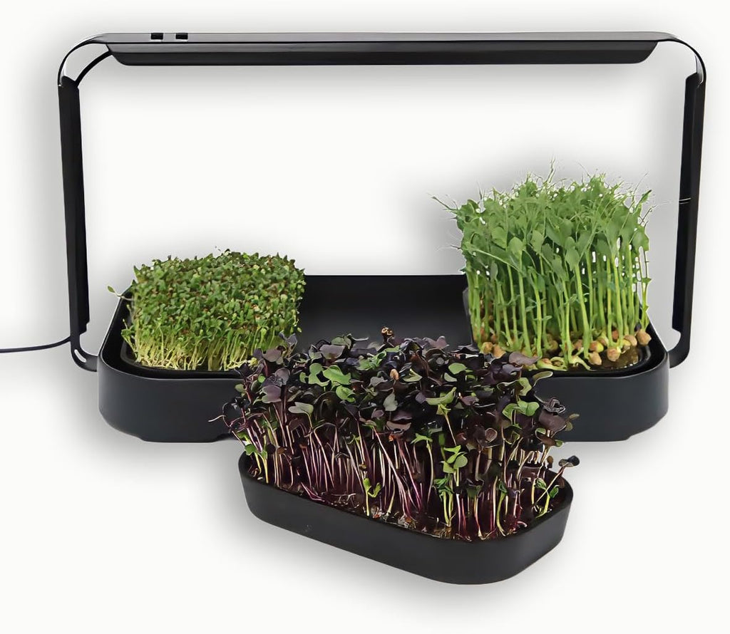 Microgreens Growing Kit Indoor, Micro Greens Indoor Herb Garden Kit with LED Light, 3 Microgreens Growing Trays, 6 Jute