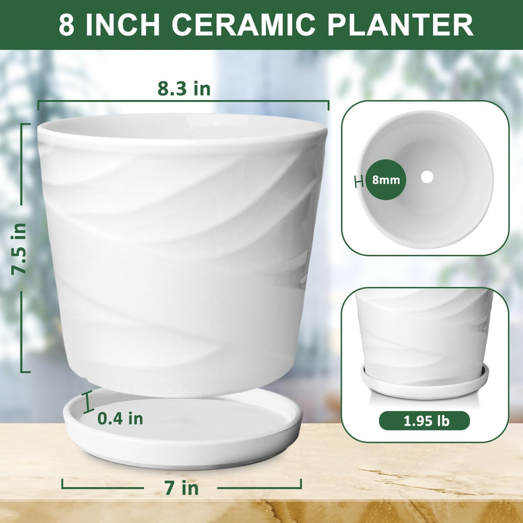 8 Inch Plant Pot,Ceramic Planter with Drainage and Saucer,Ceramic Pots for Plants,Indoor Plant pots,Ceramic Flower